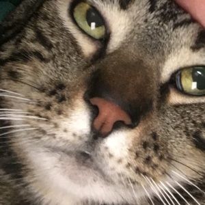 Meet your Posher, Blake